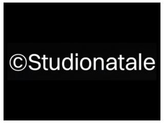 diego_fabi_clienti_loghi_studionatale